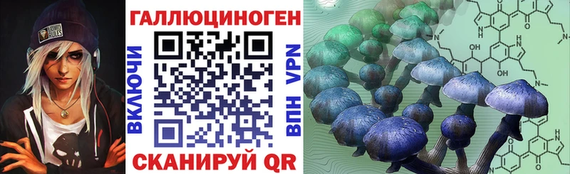 купить наркотик  Невель  Галлюциногенные грибы Psilocybe 
